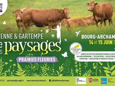Balade Ça s'agite dans les prairies !