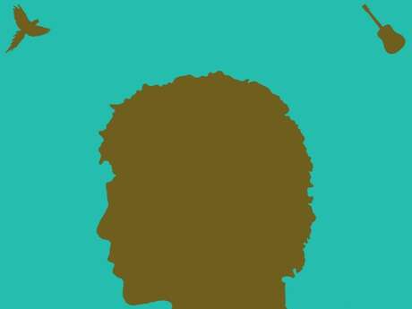 Concert de Laurent Voulzy