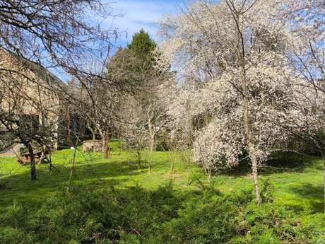 Camping Puyberaud