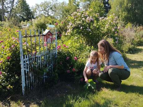 À la recherche de Good Slow Tea