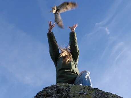 Cinéma Arévi : Animus Femina