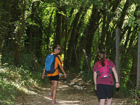 Parcours Trail Montignac-Lascaux n°11