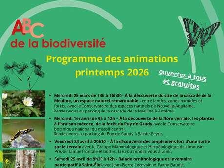 ABC de la biodiversité : sortie hirondelles et martinets noirs