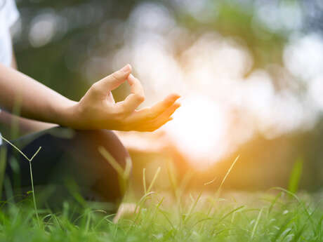 Cours de yoga