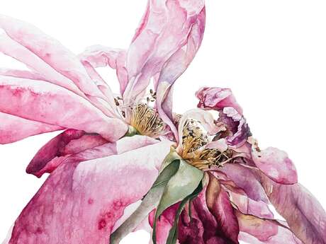 La voix des fleurs en écho à 花道 (Kadō)