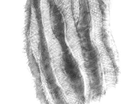 Exposition "Dans l'écart du dessin"