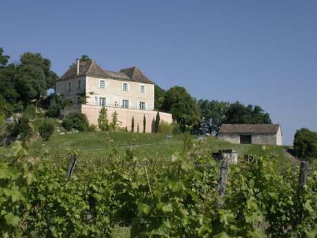 Visite bout de rang et dégustation | Domaine de l'Ancienne Cure