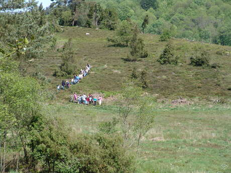Fête de la Nature - Découverte de la tourbière des Dauges