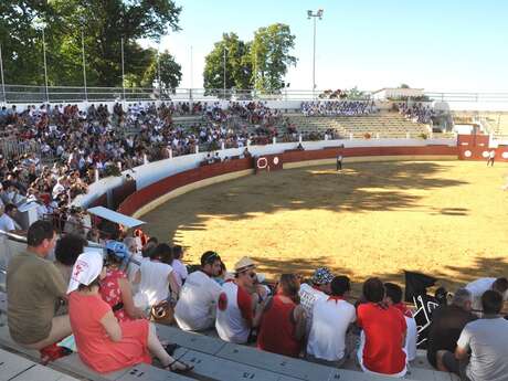 Course Landaise et jeux d'arènes