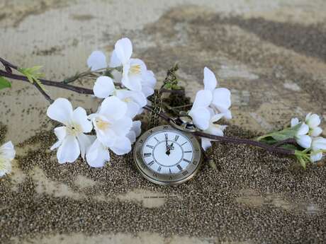 Atelier participatif Et si on ralentissait juste une heure?