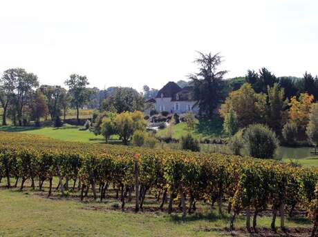 Domaine de Grange Neuve | Visite guidée et dégustation gourmande