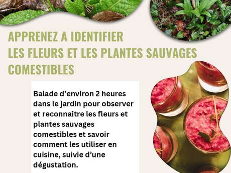 Les fleurs et les plantes sauvages comestibles