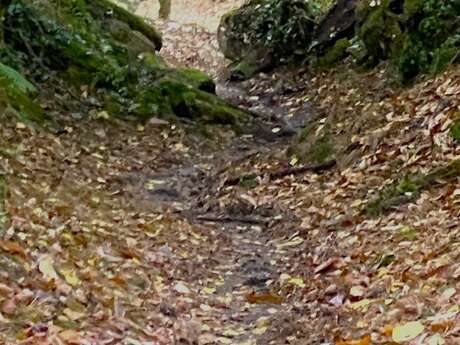 Boucle du Buisson