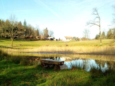Camping de la ferme de Vassiviere