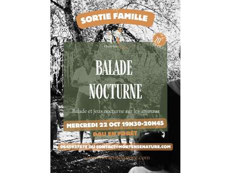 Balade nocturne nature en famille