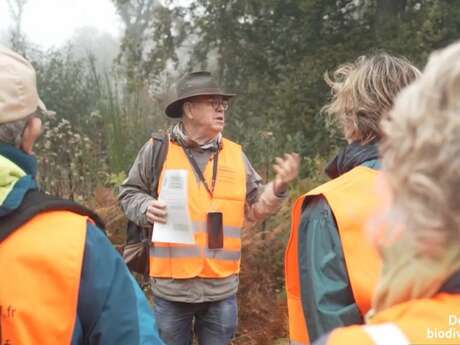 Balade-conférence en forêt