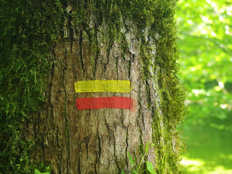 Inauguration du GR® de Pays Monts et Barrages en Limousin