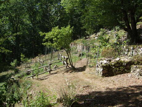 Le jardin de Bardot
