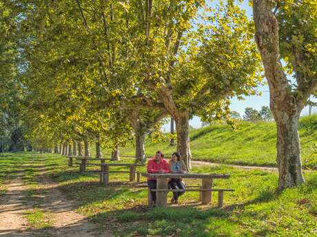 Aire de pique nique au bord de l'Adour