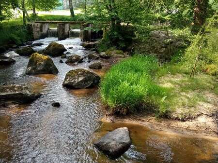 circuit Brame et pâturage