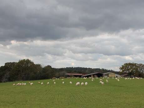 Ferme Péhosse