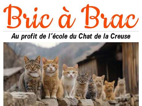 Bric à brac au profit de l'Ecole du Chat de la Creuse