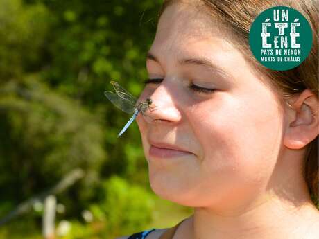 Sortie nature - Le petit monde de la rivière