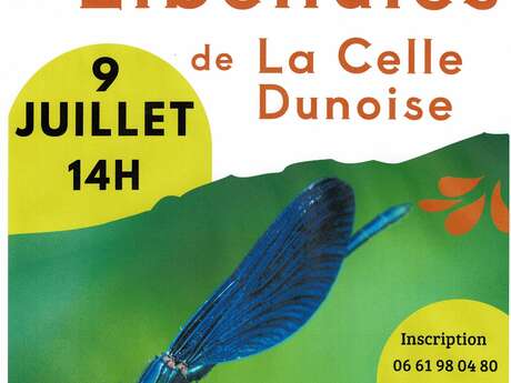 Les libellules de la Celle Dunoise