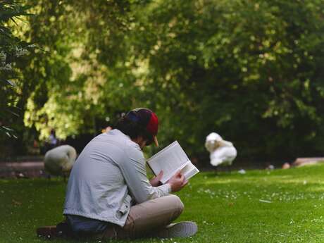 Club lecture - Les lectures de l'été