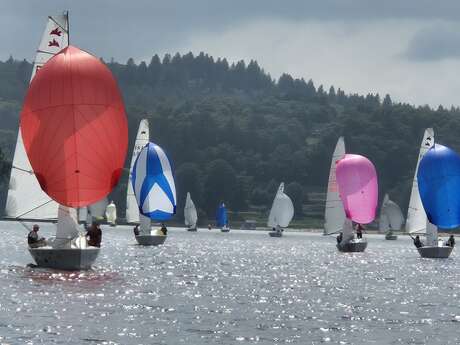 Régate : Coupes des cap-horniers