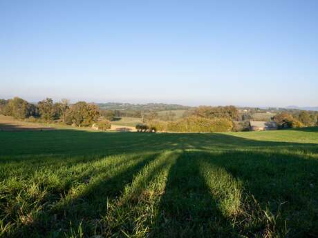 La randonnée de la forêt