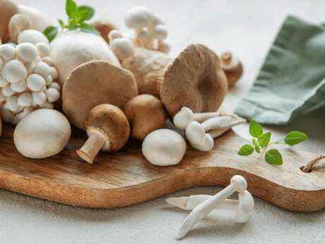 Cours de cuisine : Les champignons de nos bois