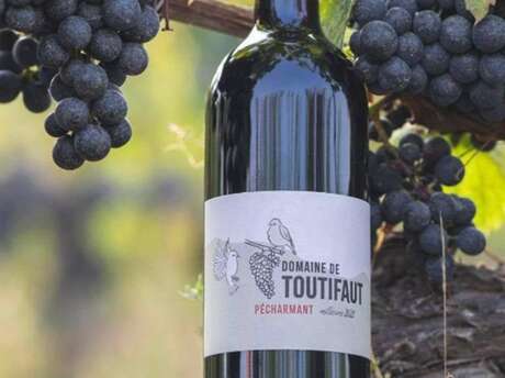 Domaine de toutifaut | visite pédagogique puis dégustation