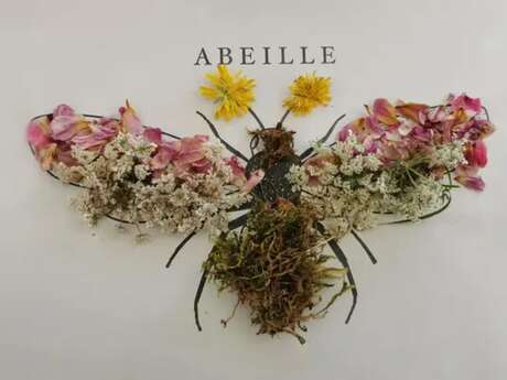 Animation Nature - Art et Nature - Limoges