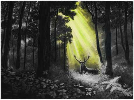 Exposition : Nature et Sens
