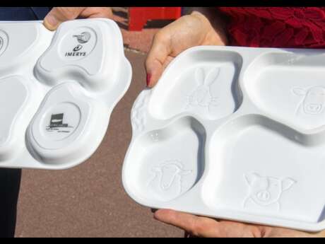 Comment une assiette en porcelaine fait le lien entre design et santé ? - Conférence Limoges