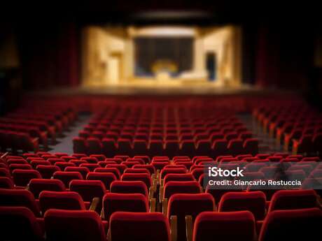 Soirée théâtre : Porc épic