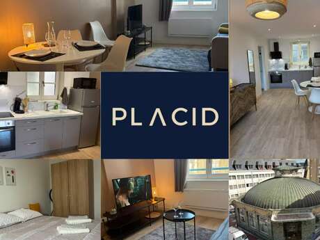 Le Pavillon - Hyper centre - Charme Rénové