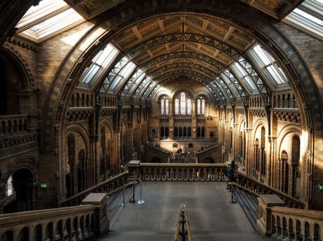 Nuit des musées | Un musée dans le noir