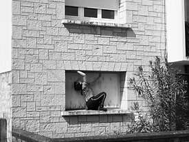 Chiendent et Brèches