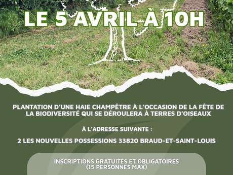 SEMAINE DE LA BIODIVERSITÉ - Chantier participatif - Plantation d'une haie champêtre à Terres d'Oiseaux