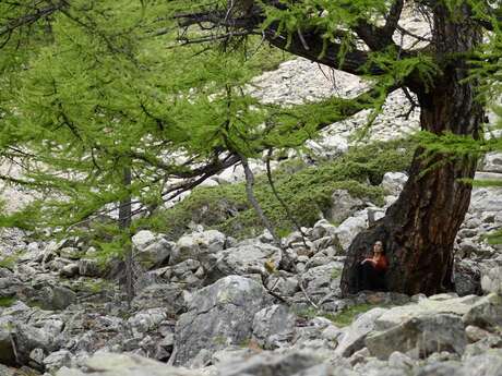 Les Rencontres de Villefavard - Caroline Audibert - Les Audionautes, à l'écoute des chants de la terre