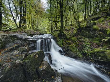La Cascade de la Tine