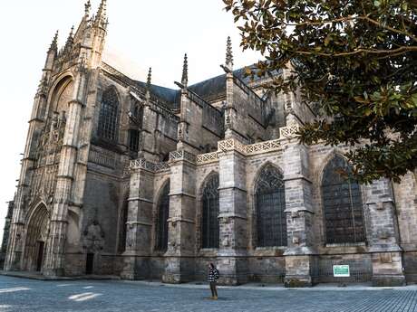 Cathédrale Saint-Etienne Cathédrale Saint-Etienne