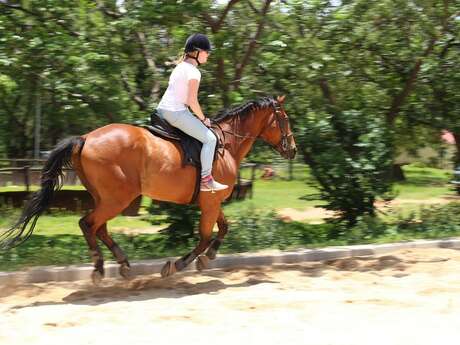 Ferme Equestre de Bertron