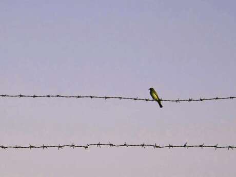 Espace Noriac - Cendrillon