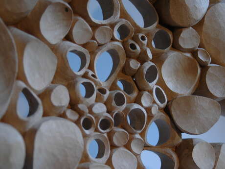 Cellules de Matière - Sculptures sur bois aux formes organiques