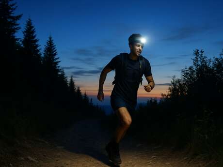 La Nocturne Pelaude