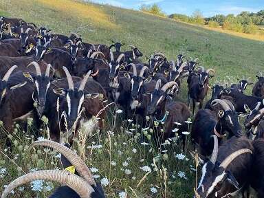 La Ferme collective de la Tournerie fête ses 10 ans : Conférences