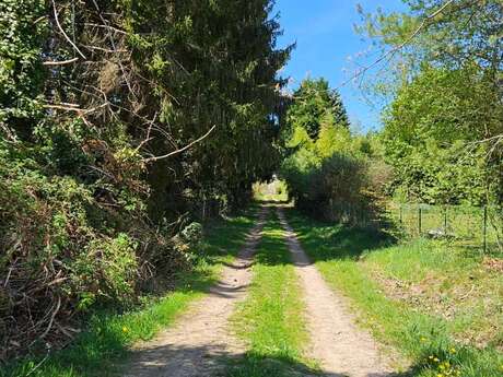 Randonnée pédestre à Saint Cyr